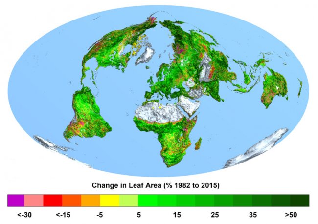Mapa que recoge los cambio de la superficie foliar en porcentaje, entre 1982 y 2015. 